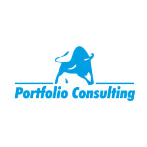 portfolio consulting